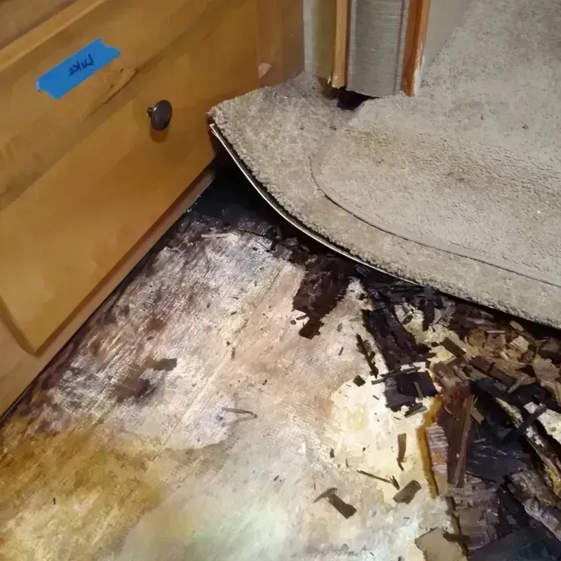 Wood Floor Water Damage in Cook County, MN